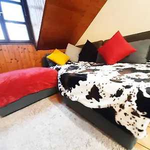 Jolie -appart Partagé- Centre - 5 Min Gare&lac - Gratuit- Wifi, Petit Dej, Serviettes, Velos Séjour chez l'habitant